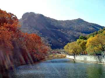 管家婆黑白马报图库，吉seo